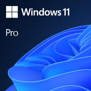 Windows 11 Pro 64bit Oem - 1 Users - Win - Dutch
