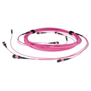 Fiber Trunk Cable - 4 MTP/MPO Female Connectors - Multimode 50/125 OM4(OM3) Polarity A- 5m - Erika Violet