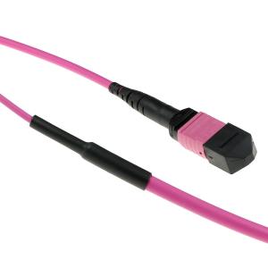 Fiber Trunk Cable - MTP/MPO Female Connectors - Multimode 50/125 OM4(OM3) Polarity A - 25m - Erika Violet