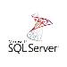 Sql Server Web Edition - All Languages Sa / Lic - 2 Lic