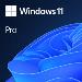 Windows 11 Pro 64bit - 1 Lic - Win - All Languages