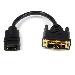 Hdmi To DVI Dongle Adapter Cable 8in - Hdmi Female To DVI-d Male Uk
