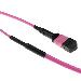 Fiber Trunk Cable - MTP/MPO Female Connectors - Multimode 50/125 OM4(OM3) Polarity A - 60m - Erika Violet
