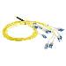 Fiber Optic Cable - Singlemode - 50/125 OS2 Preterm - Twist LC - 3M - Yellow